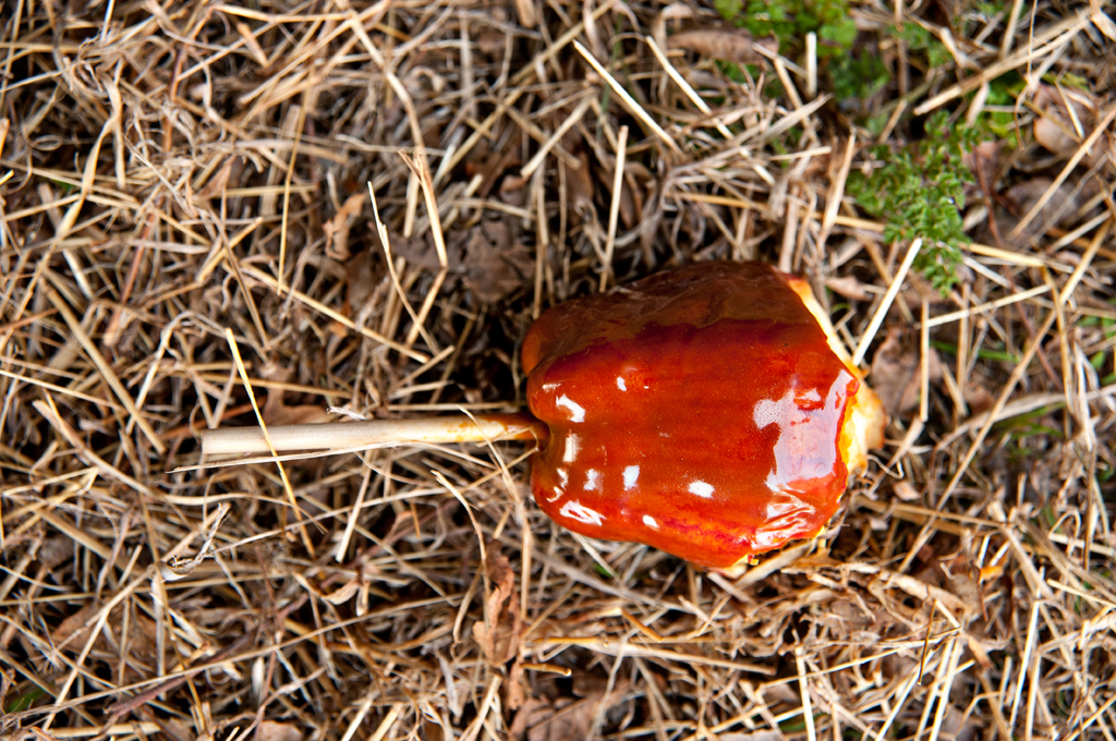 Kenneth M. Ruggiano, Photography, Editorial Photography, Commercial Photography, Tulsa Oklahoma, Oklahoma, Portrait Photographer Tulsa Oklahoma, Photographer Tulsa Oklahoma, Editorial Portrait Photographer